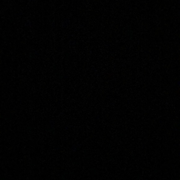 Meet your Posher, Maya - Picture 1 of 1